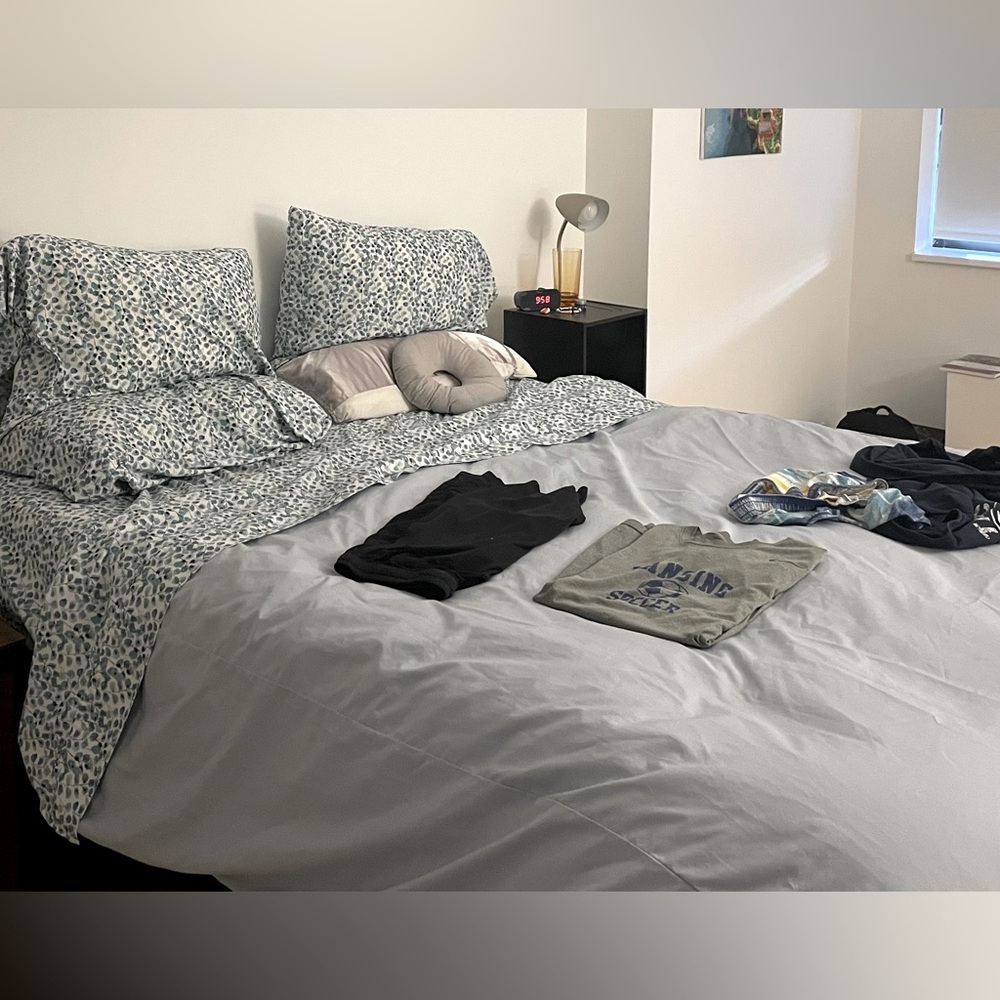 Hypoallergenic Queen-size Duvet Cover